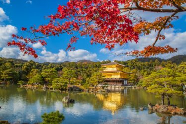 Kyoto Uncovered: A Traveler’s Guide to the Top Attractions and Hidden Gems