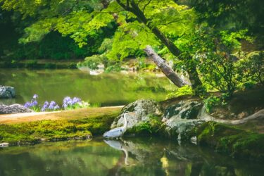 Exploring the Tranquil Beauty of Kyoto Gardens