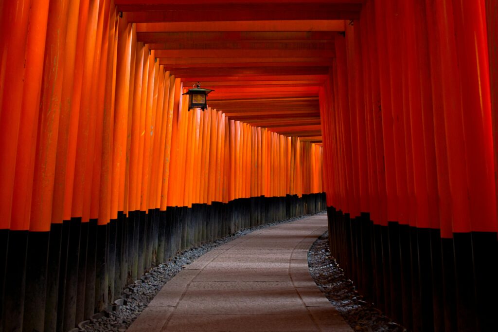 Tunnel of torii gates